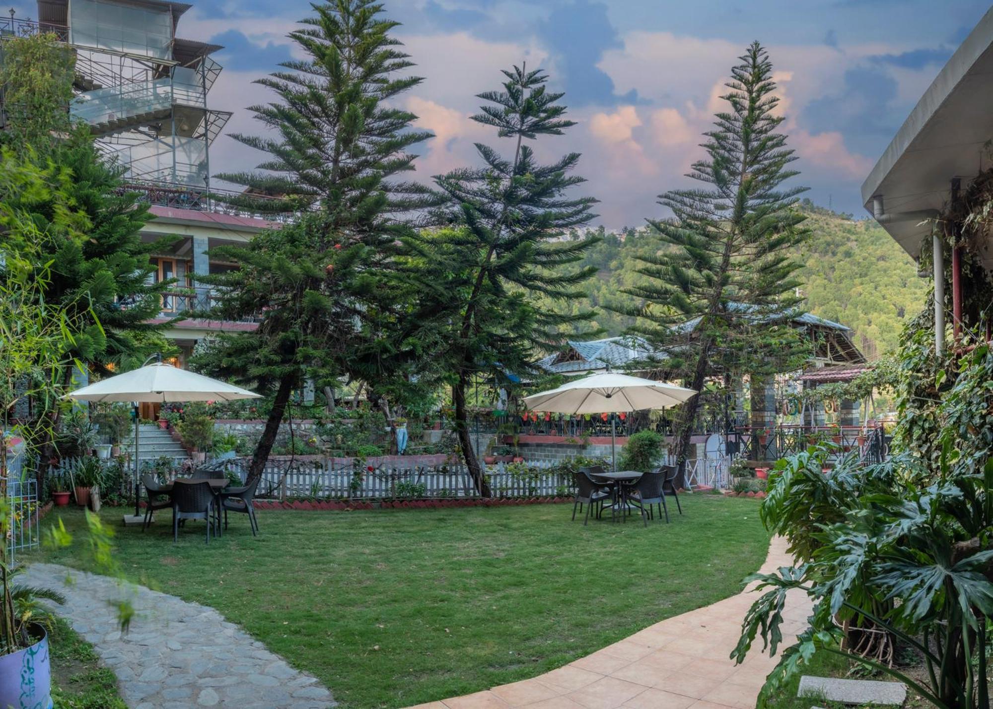 Nandini Villa دارامشالا المظهر الخارجي الصورة